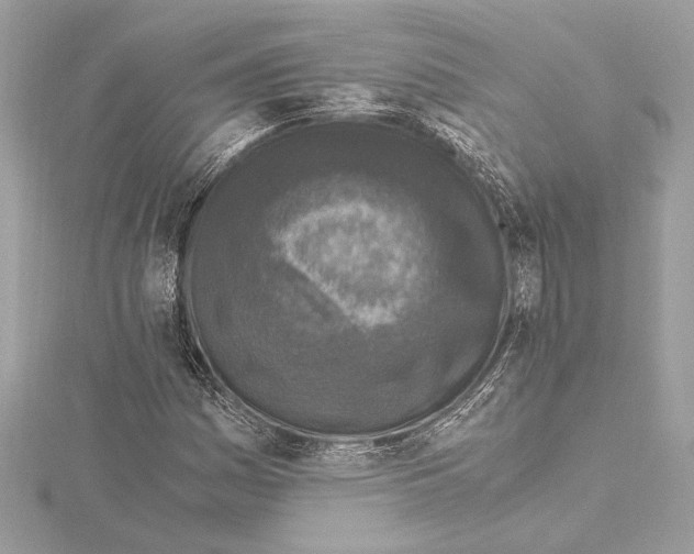 X0000115061161200912071145