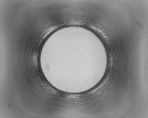 X0000115061162200912071145