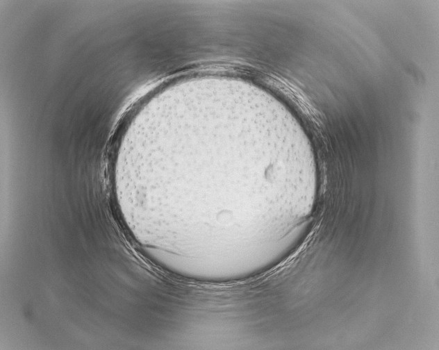 X0000115061164200912071145