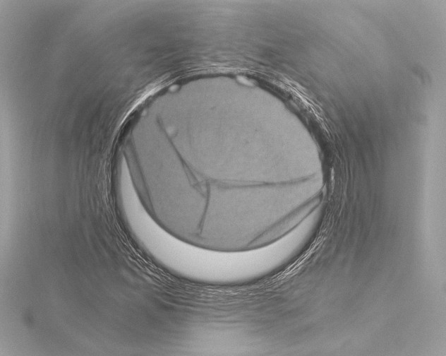 X0000115061165200912071145