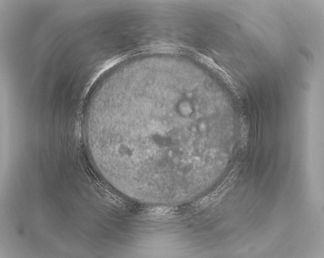 X0000115061166200912071145