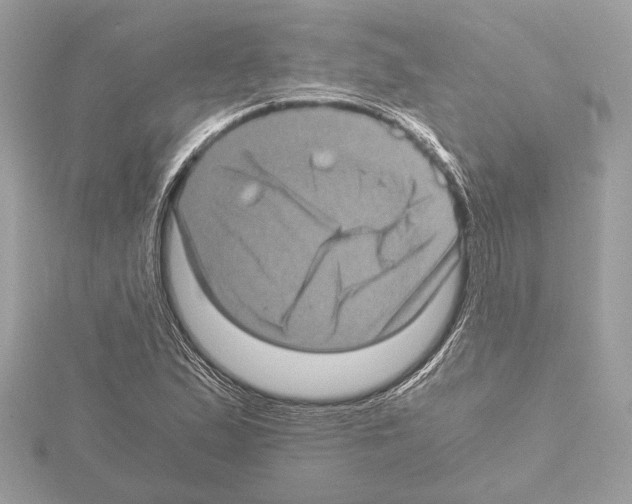 X0000115061167200912071145