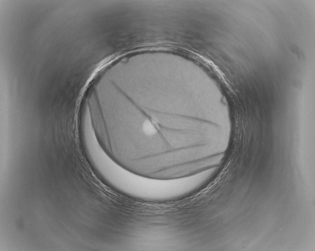 X0000115061168200912071145