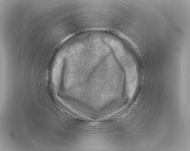 X0000115061169200912071145