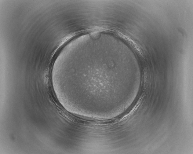 X0000115061170200912071145