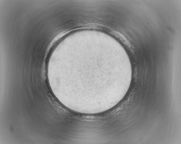 X0000115061172200912071145