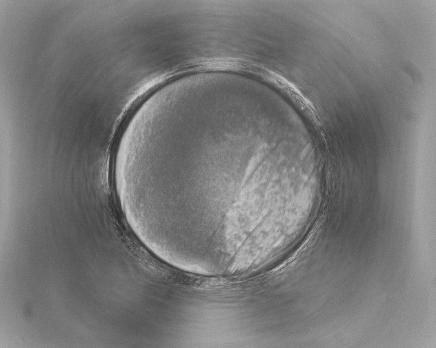 X0000115061174200912071145