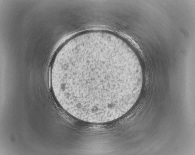 X0000115061175200912071145