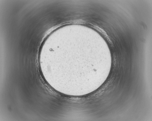 X0000115061176200912071145