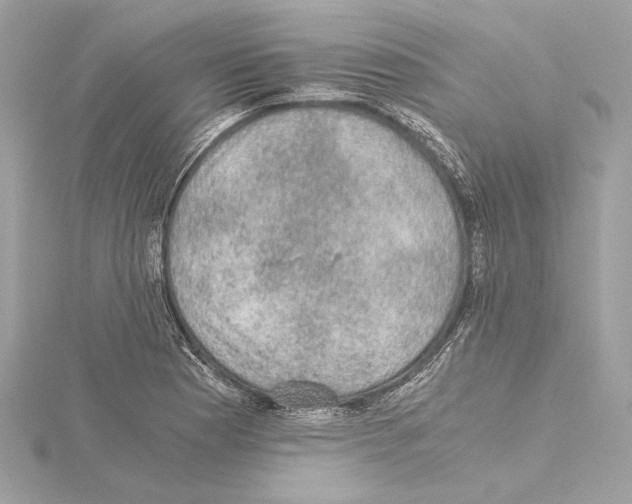 X0000115061177200912071145