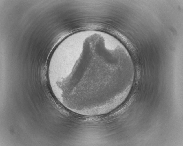 X0000115061178200912071145