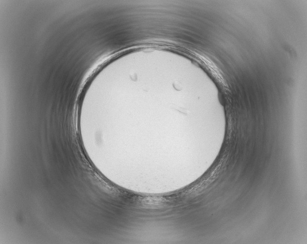 X0000115061180200912071145