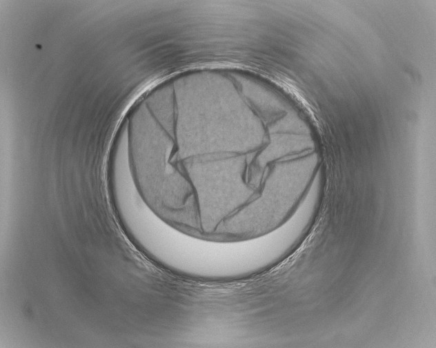 X0000115061181200912071145