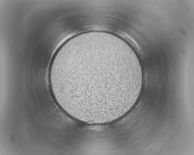 X0000115061182200912071145