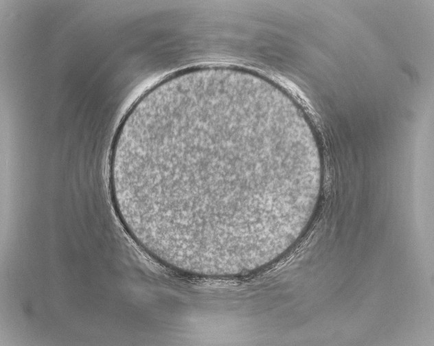 X0000115061183200912071145