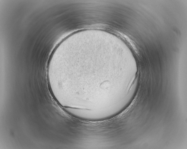 X0000115061184200912071145