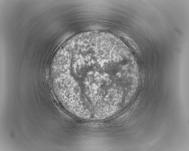 X0000115061185200912071145