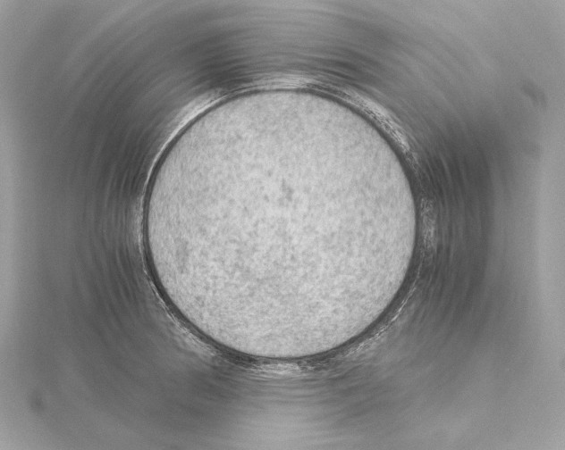 X0000115061186200912071145