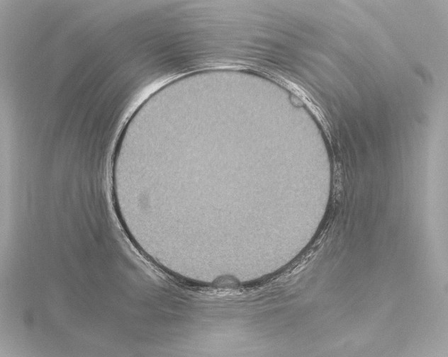 X0000115061187200912071145