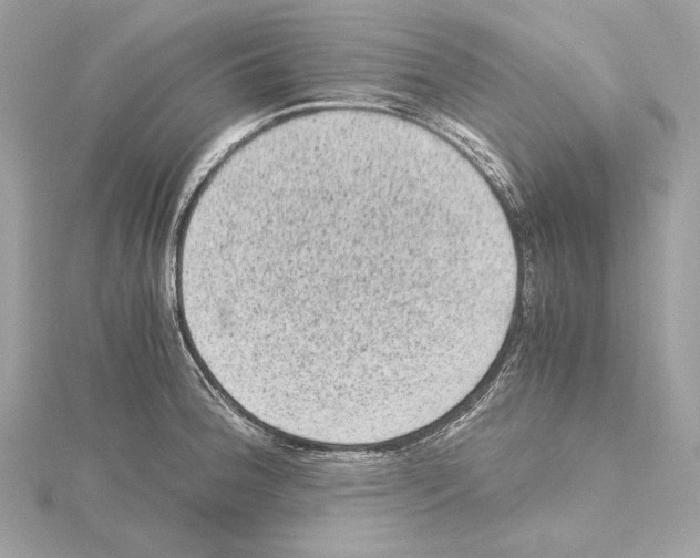 X0000115061188200912071145