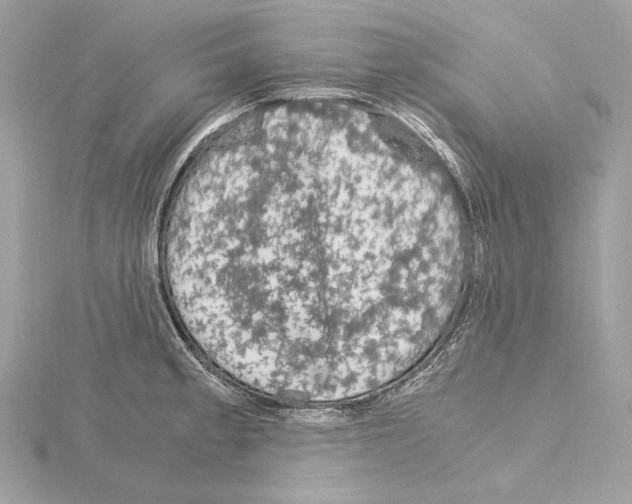 X0000115061189200912071145