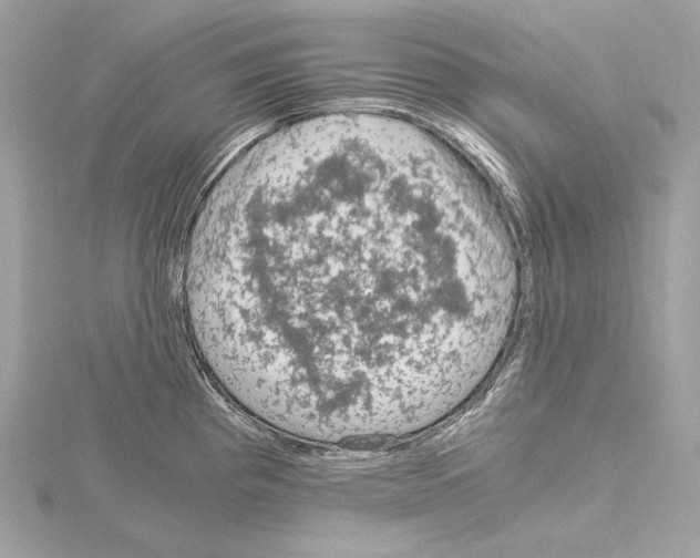 X0000115061193200912071145