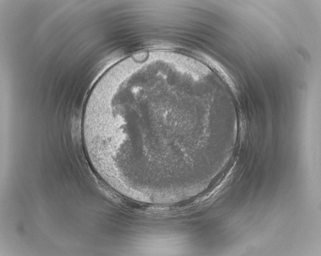 X0000115061194200912071145