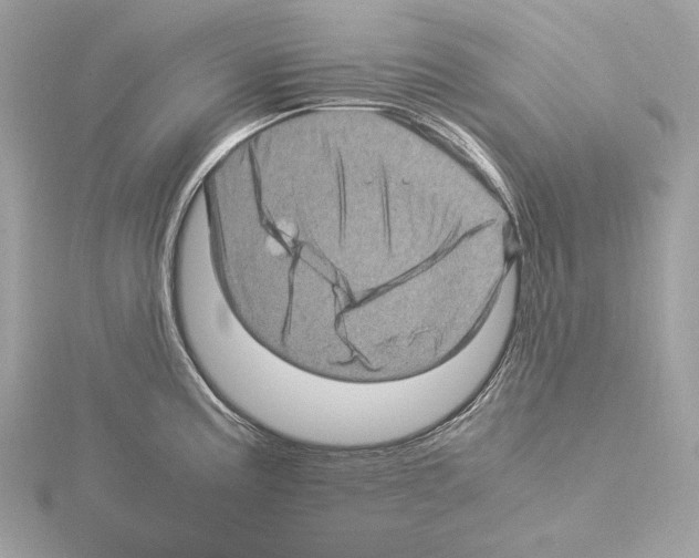 X0000115061195200912071145