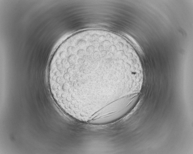 X0000115061196200912071145