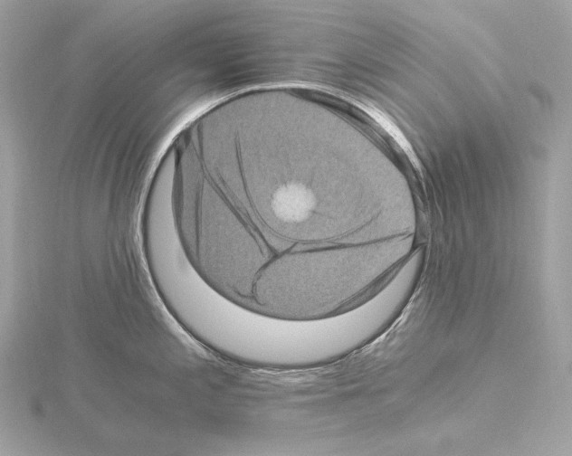 X0000115061197200912071145