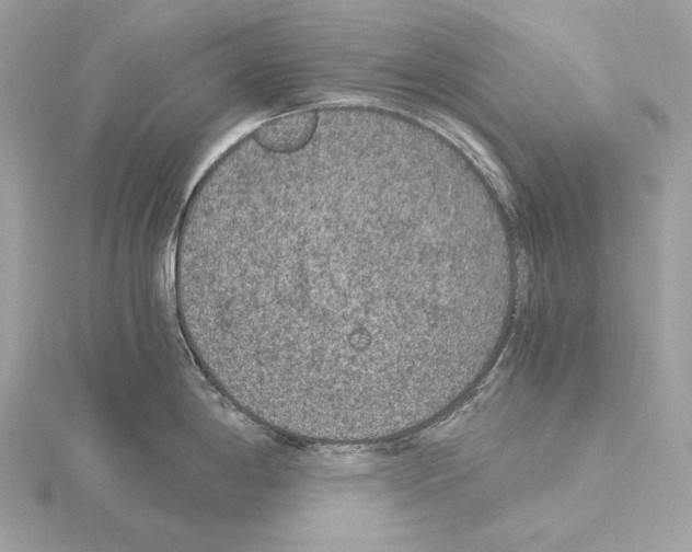 X0000115061198200912071145