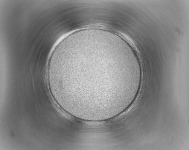 X0000115061200200912071145