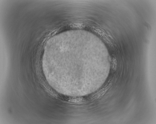 X0000115061201200912071144