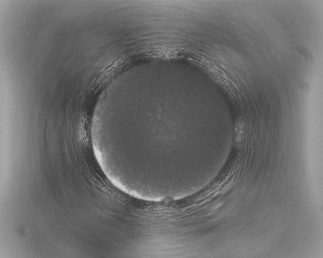 X0000115061202200912071144