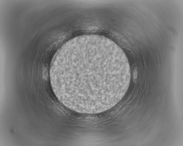 X0000115061204200912071144