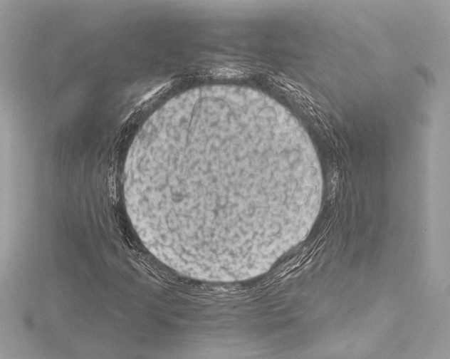 X0000115061205200912071144