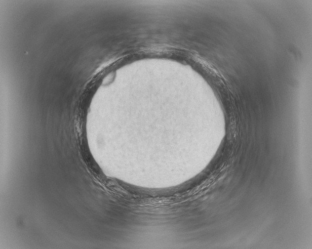 X0000115061206200912071144