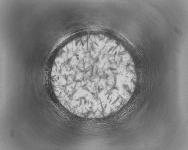 X0000115061208200912071144