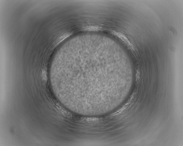 X0000115061209200912071144