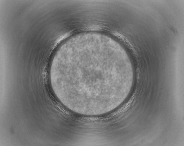 X0000115061210200912071144