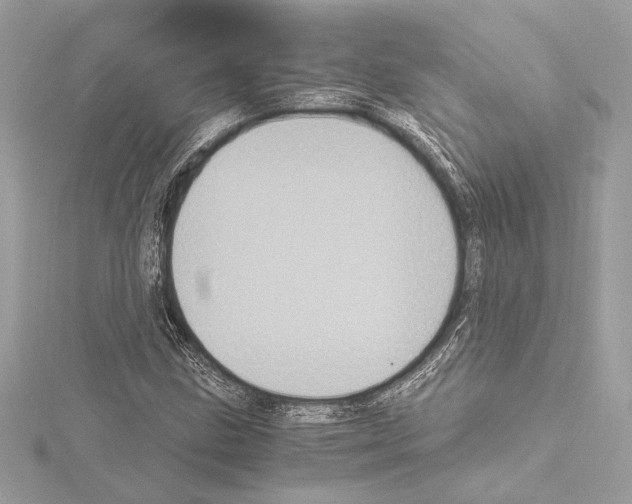 X0000115061211200912071144