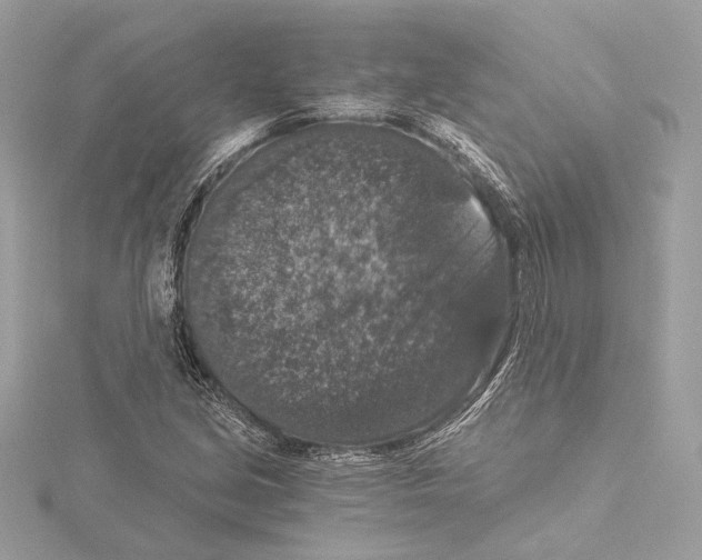 X0000115061213200912071144