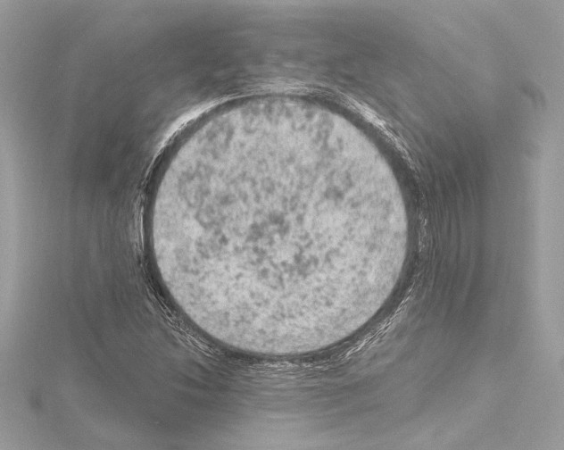 X0000115061214200912071144