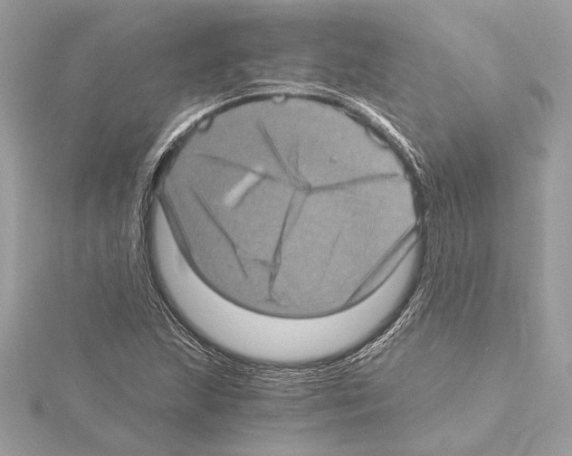 X0000115061215200912071144