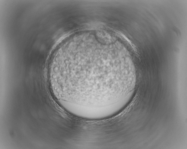 X0000115061216200912071144