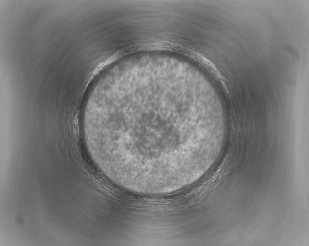 X0000115061218200912071144