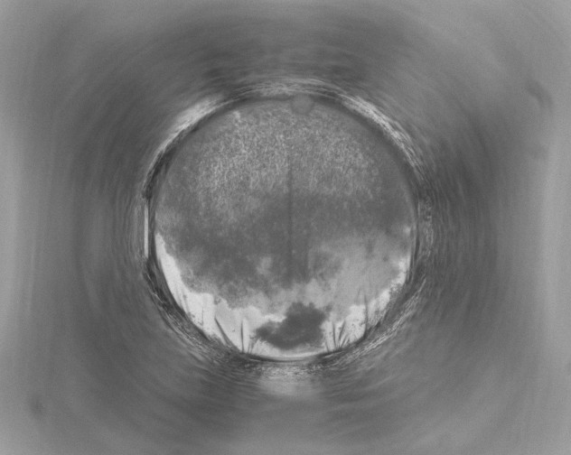 X0000115061219200912071144