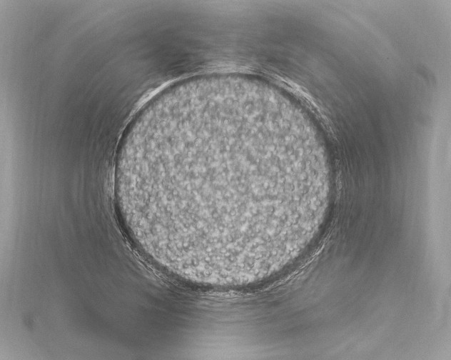 X0000115061220200912071144