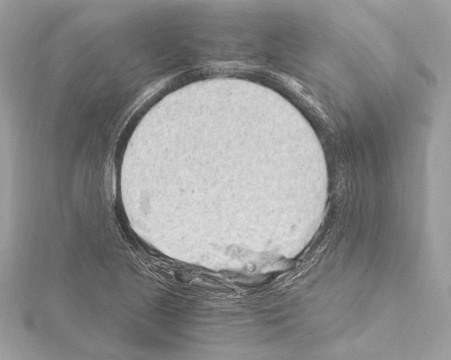 X0000115061221200912071144