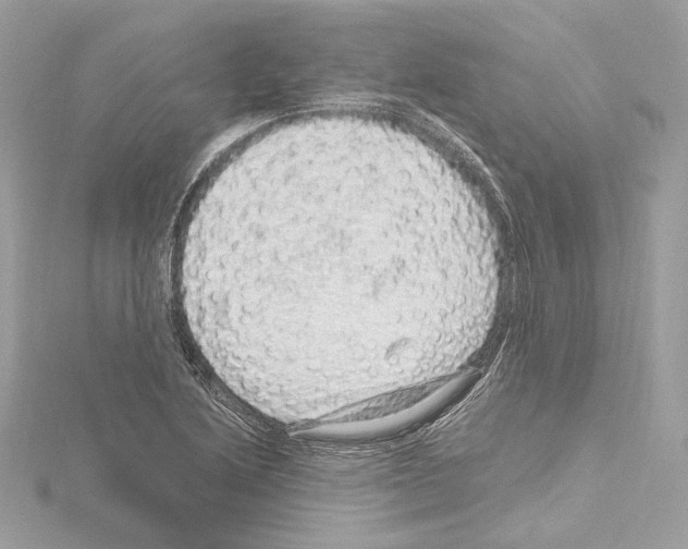 X0000115061222200912071144